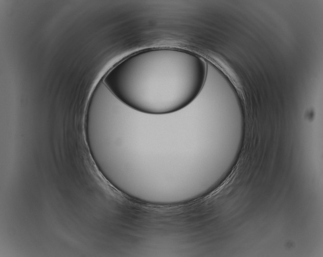 X0000094911340200711291247