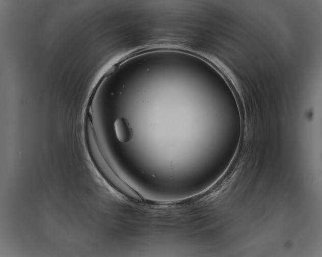 X0000094911341200711291247
