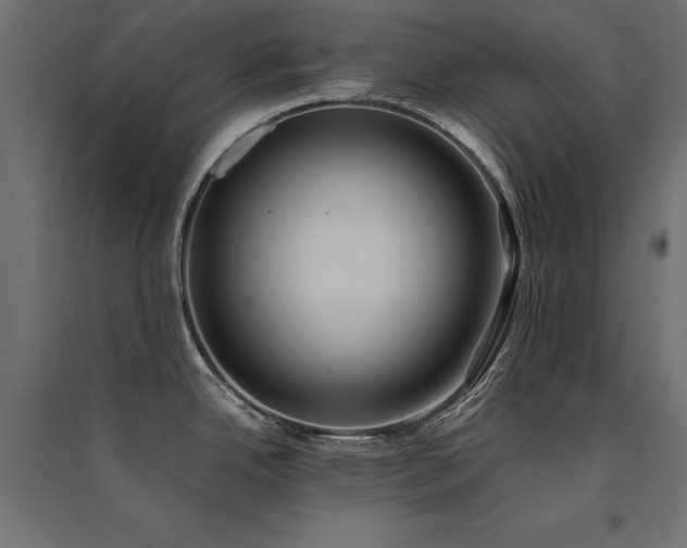 X0000094911342200711291247