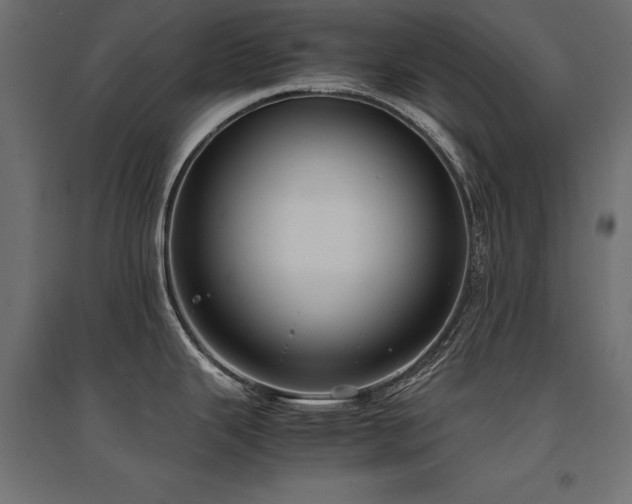 X0000094911343200711291247