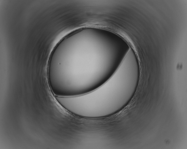 X0000094911344200711291247