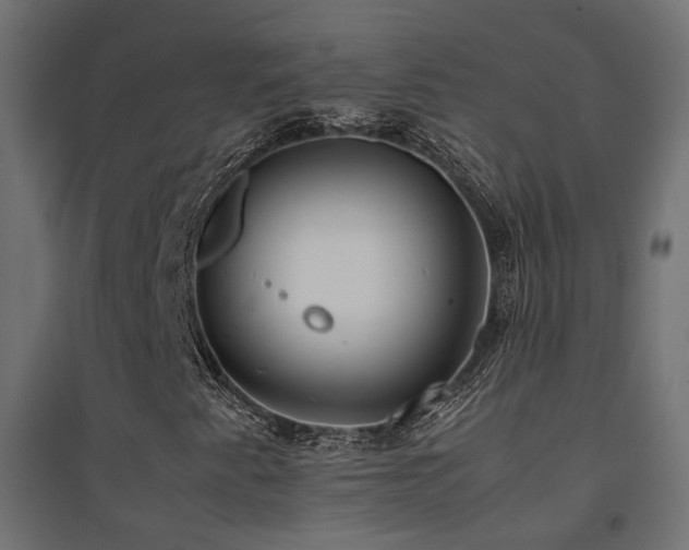 X0000094911345200711291246