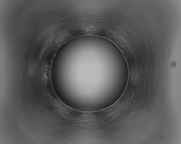 X0000094911346200711291246