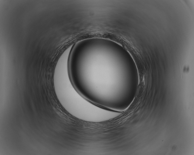 X0000094911348200711291246