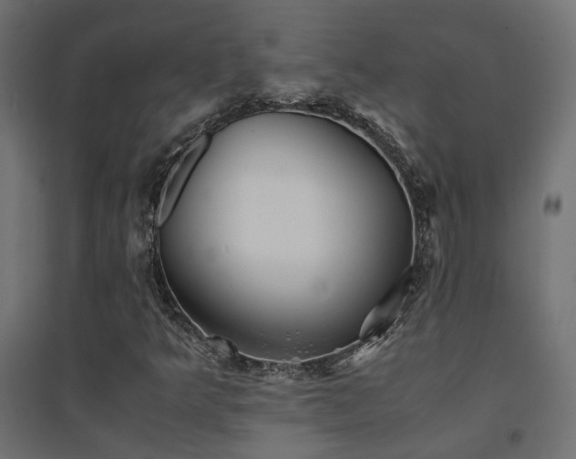 X0000094911349200711291246