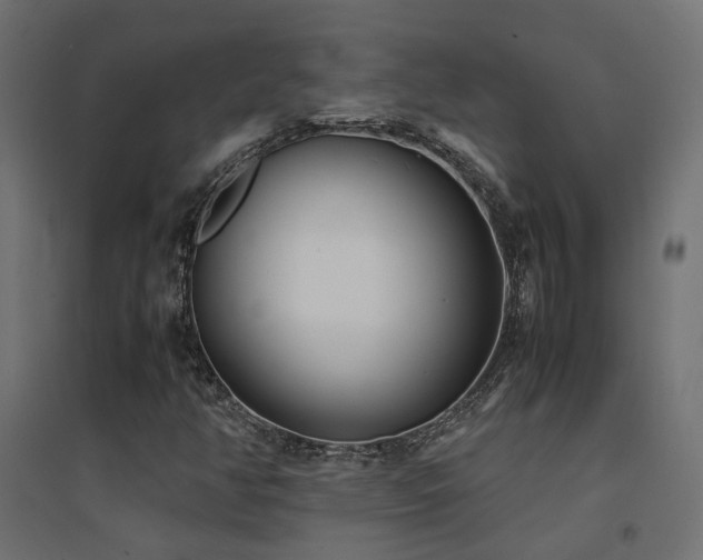 X0000094911350200711291246