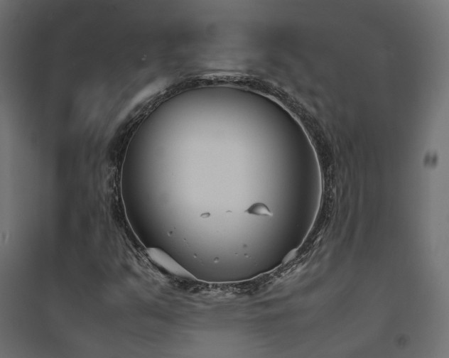 X0000094911351200711291246