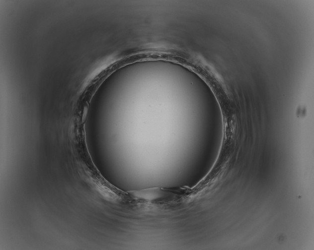 X0000094911352200711291246