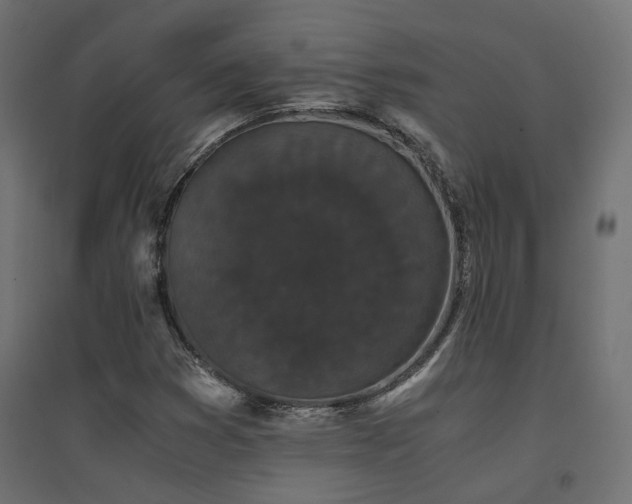X0000094911353200711291246
