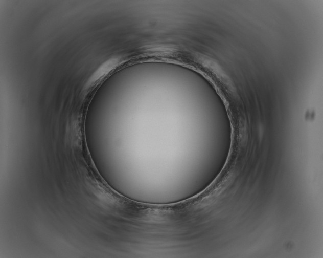 X0000094911354200711291246