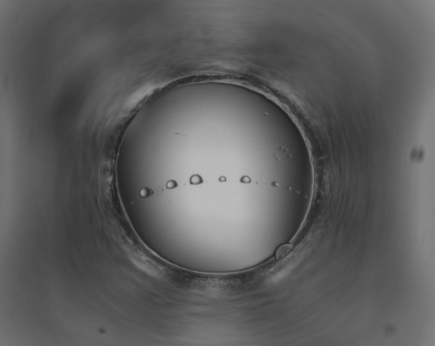 X0000094911355200711291246