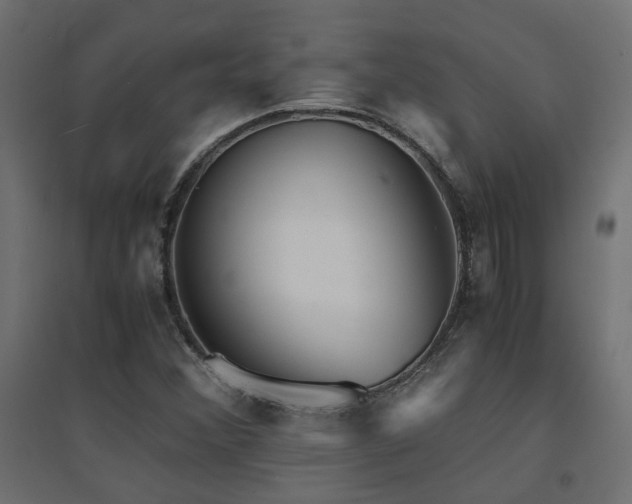 X0000094911356200711291246