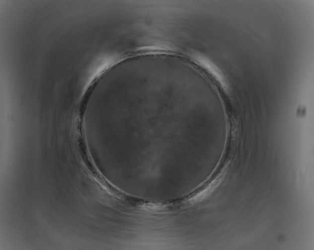 X0000094911357200711291246