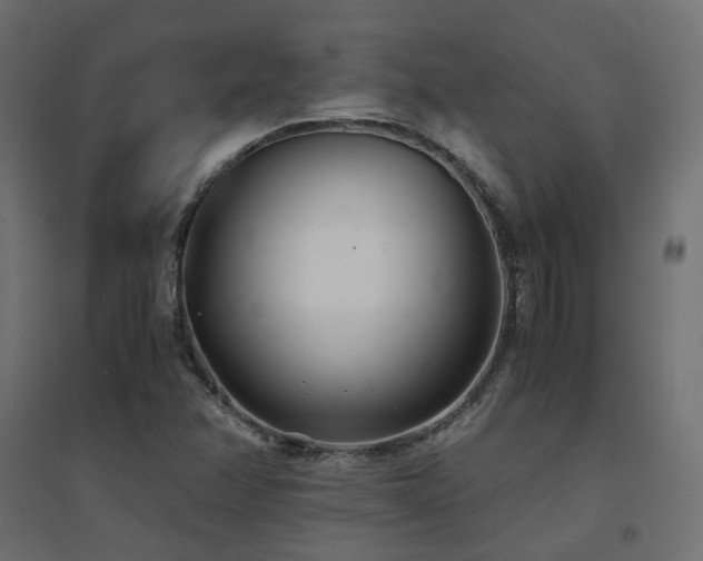 X0000094911358200711291246