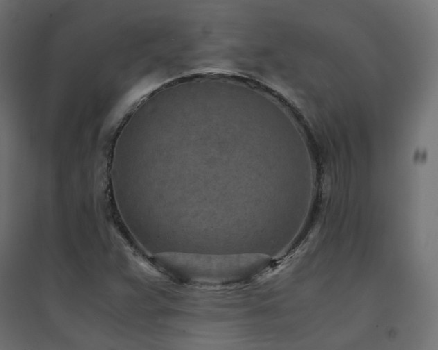 X0000094911359200711291246