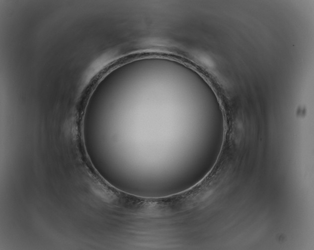 X0000094911360200711291246