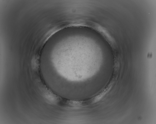 X0000094911361200711291246