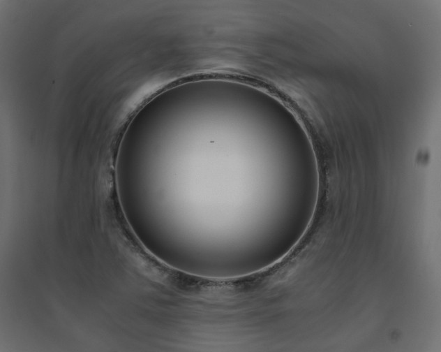 X0000094911363200711291245