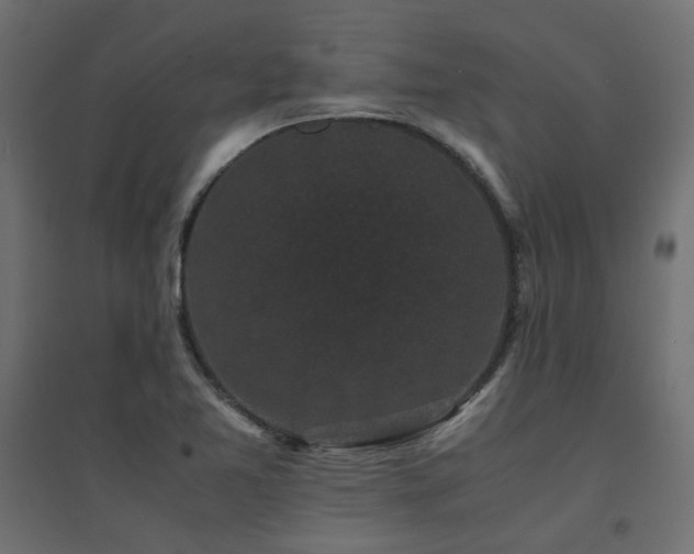X0000094911365200711291245