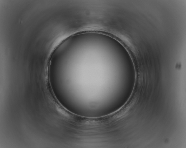 X0000094911366200711291245