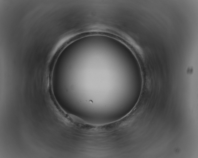 X0000094911368200711291245