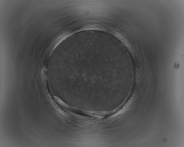X0000094911369200711291245