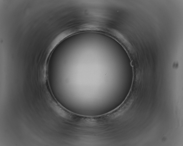 X0000094911370200711291245