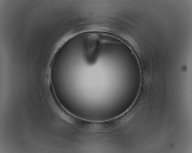 X0000094911371200711291245