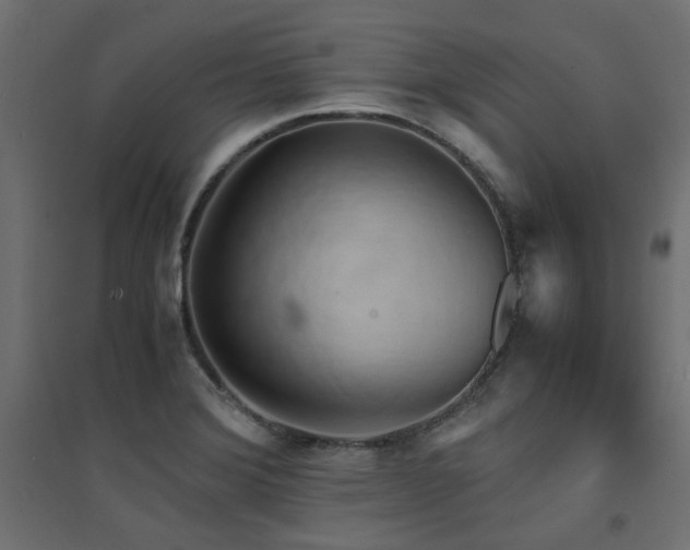 X0000094911372200711291245