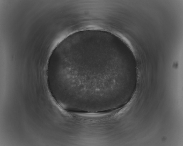X0000094911373200711291245