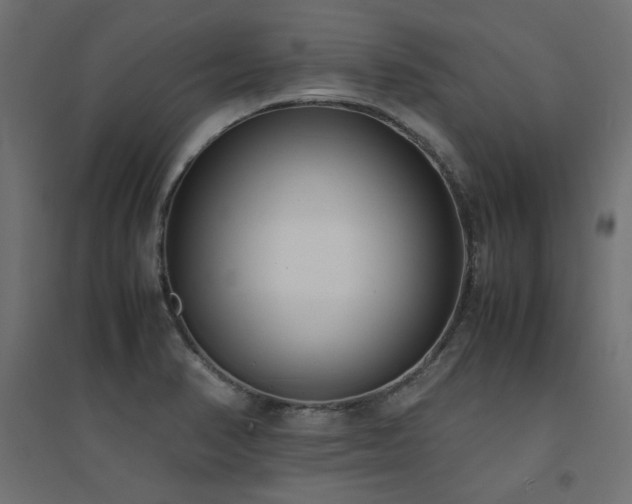 X0000094911374200711291245