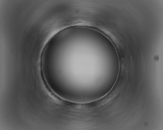 X0000094911375200711291245