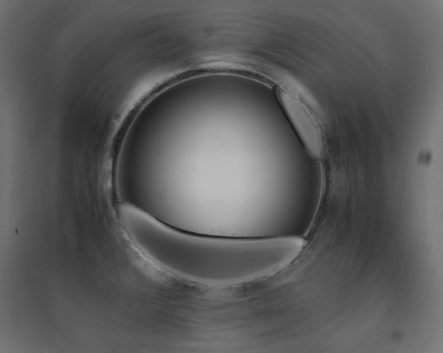 X0000094911376200711291245