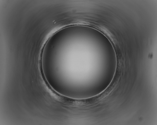 X0000094911379200711291245