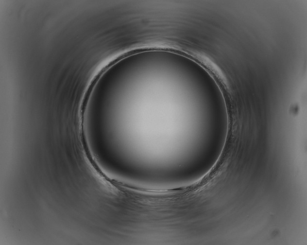 X0000094911380200711291245