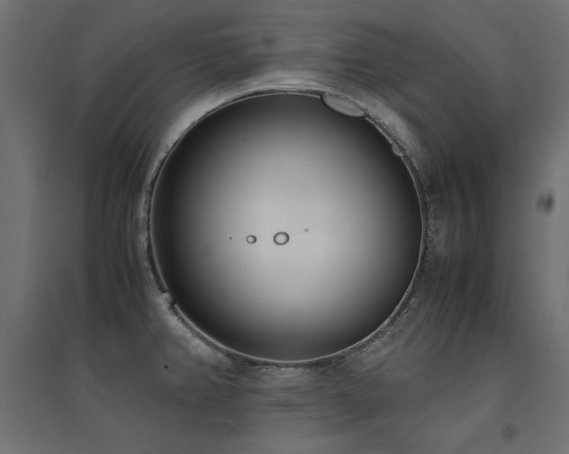 X0000094911382200711291245