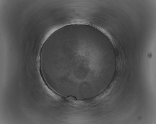 X0000094911383200711291245