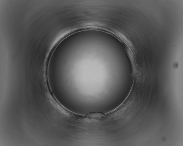 X0000094911384200711291245