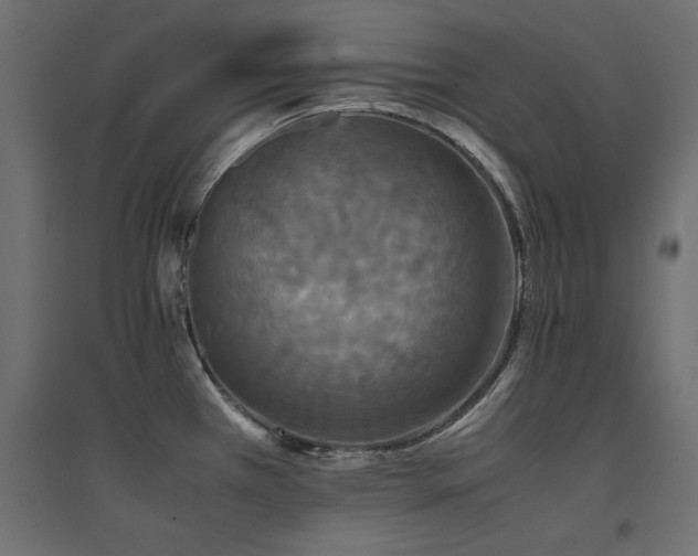 X0000094911385200711291245