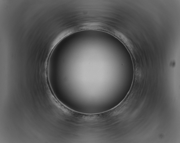 X0000094911386200711291245
