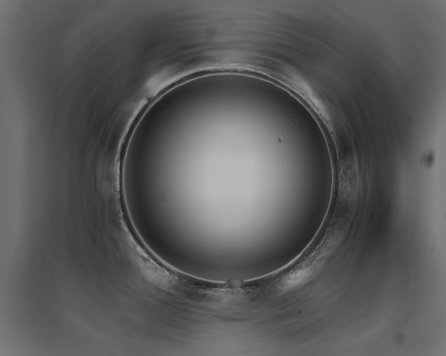 X0000094911388200711291245