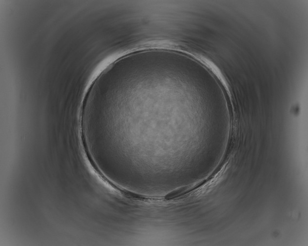 X0000094911389200711291245