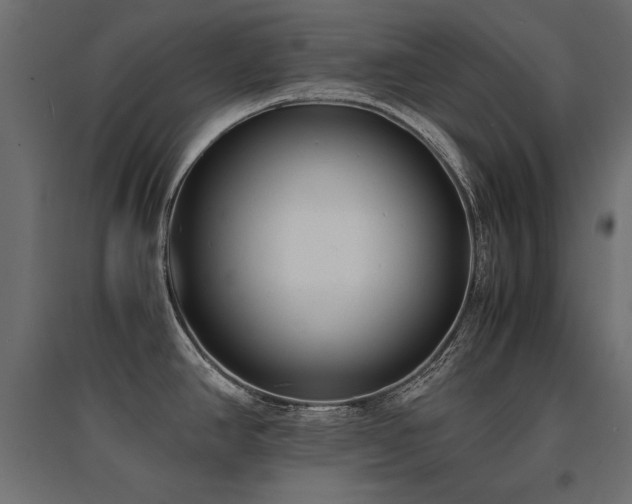 X0000094911390200711291245