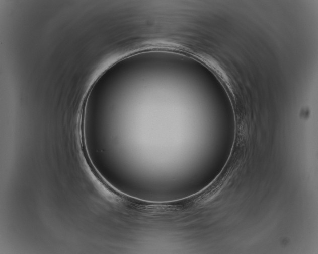 X0000094911391200711291245