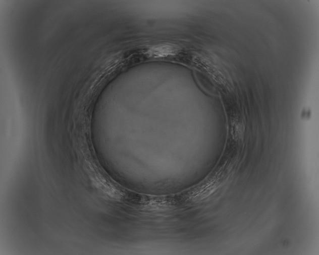 X0000094911393200711291244
