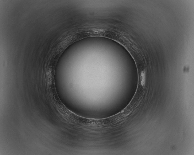X0000094911395200711291244