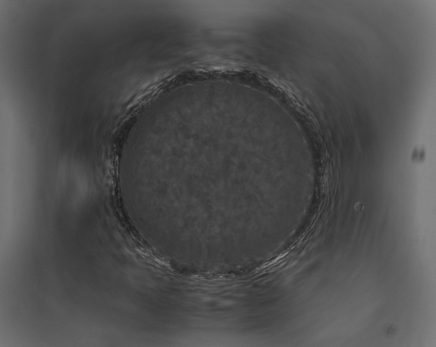 X0000094911397200711291244