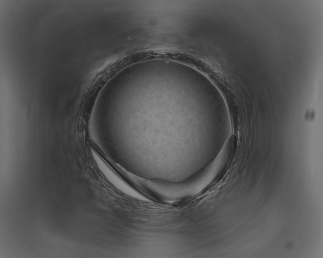 X0000094911398200711291244