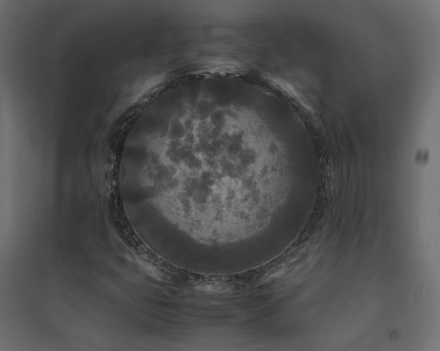 X0000094911399200711291245
