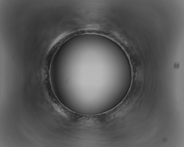 X0000094911400200711291245
